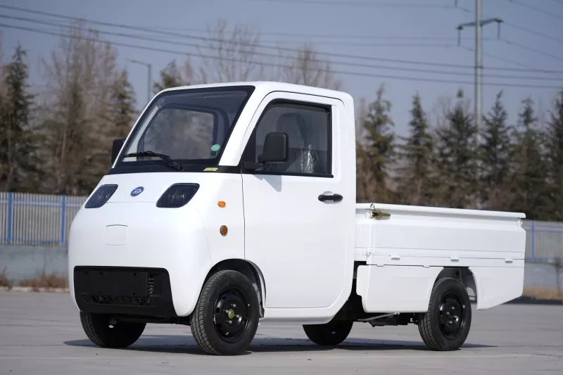 Applications of Mini Personal Transportation Electric Vehicles
