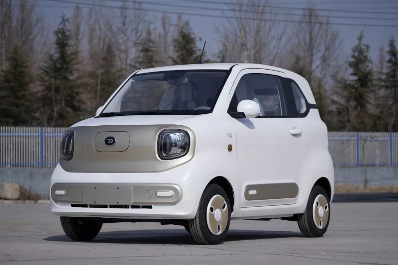 Mini Electric Transport Vehicle